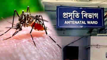 Dengue Death: শরীরে ডেঙ্গি নিয়েই প্রসব, সন্তানকে পৃথিবীর আলো দেখিয়ে চিরবিদায় মায়ের