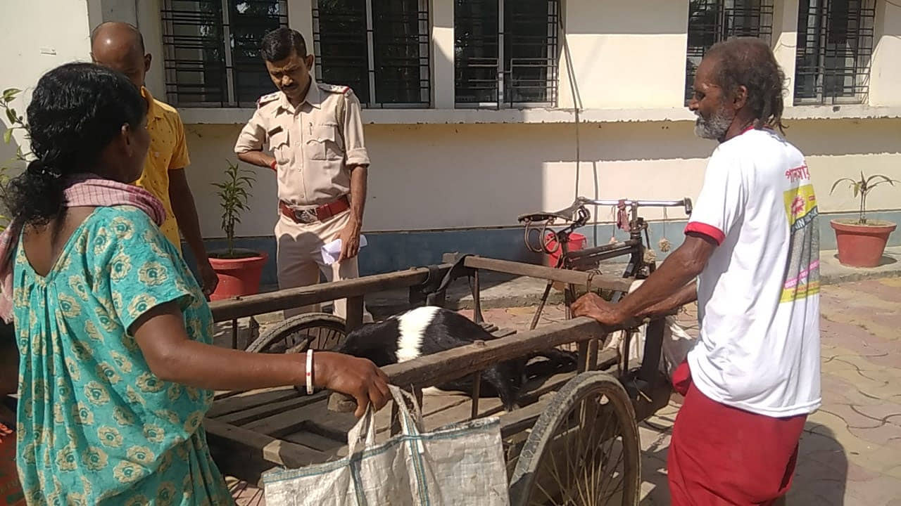 Balurghat: প্রতিবেশী বিষ খাইয়ে মেরেছে, মরা ছাগল নিয়ে থানায় মালিক