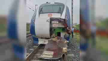 Vande Bharat Express : মোষের পালে ধাক্কা বন্দে ভারত এক্সপ্রেসের, যাত্রার শুরুতেই ভাঙল ট্রেনের সামনের অংশ