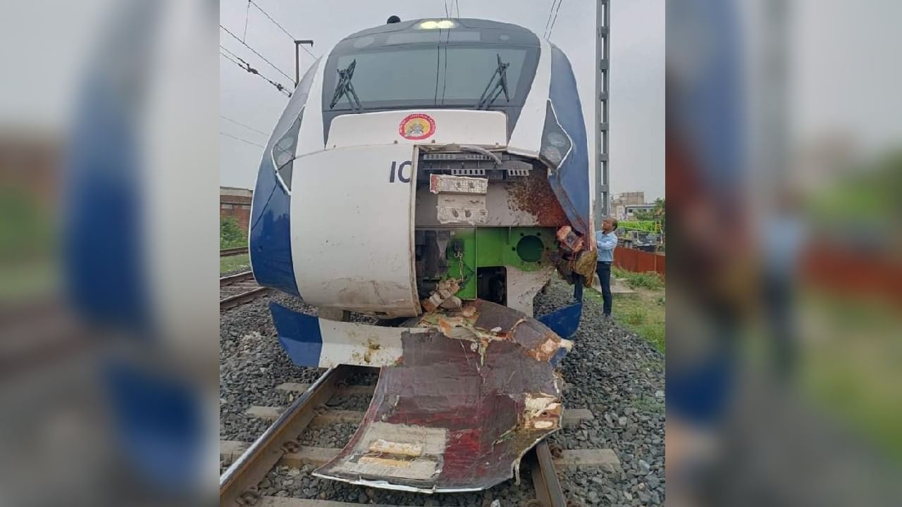 Vande Bharat Express : মোষের পালে ধাক্কা বন্দে ভারত এক্সপ্রেসের, যাত্রার শুরুতেই ভাঙল ট্রেনের সামনের অংশ