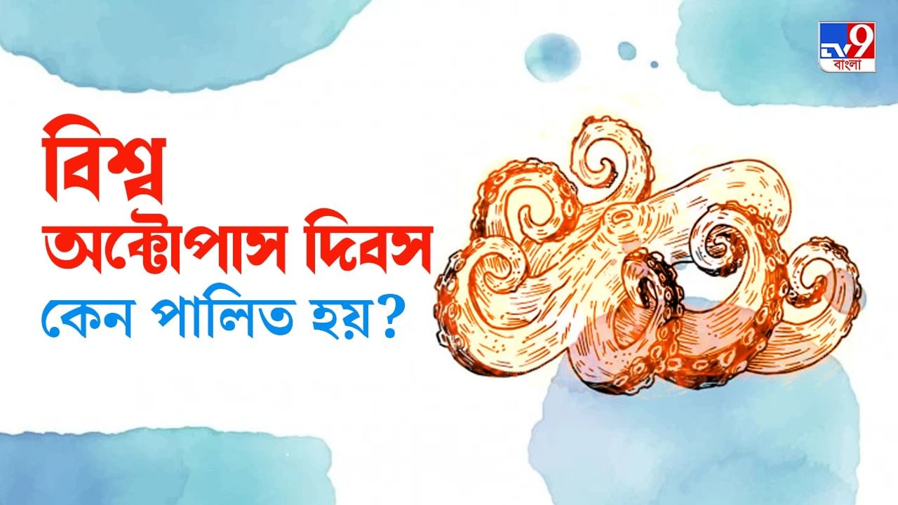 World Octopus Day: অক্টোপাসের জন্য আলাদা একটা দিন! কেন পালিত হয়? ইতিহাস কী বলছে?