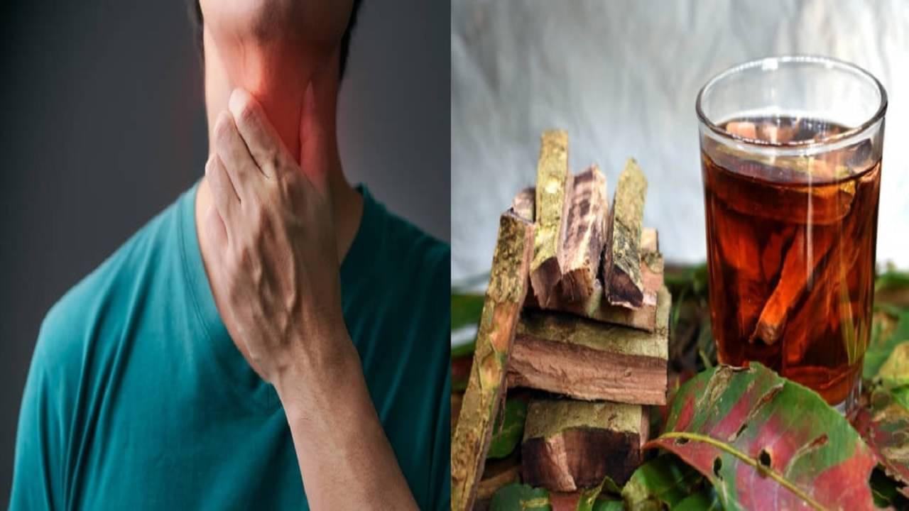 Health Benefits Of Arjuna Bark: নামের মত গুণও রয়েছে অর্জুন গাছের ছালে, এই ৪ রোগের অর্বথ্য টোটকা