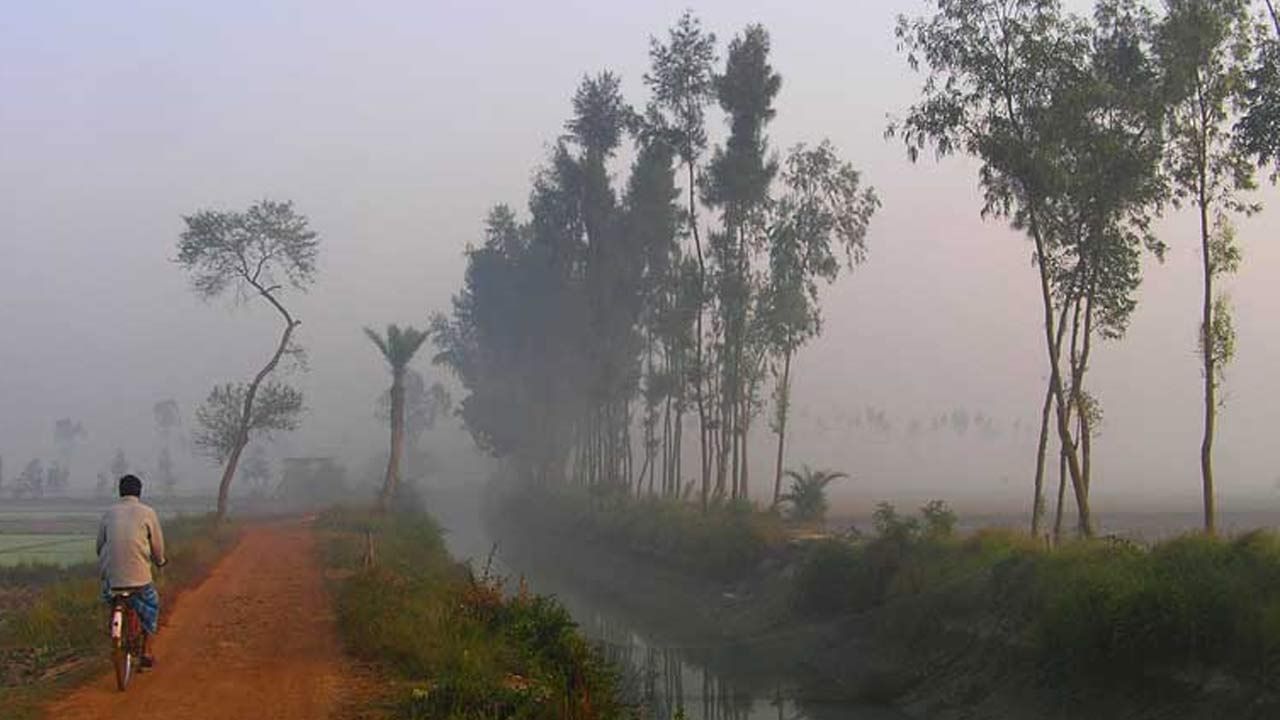 Weather Update: ধীরে ধীরে বদল শুরু আবহাওয়ায়, এবার হালকা শীতের আমেজ বুঝবে একাধিক জেলা...