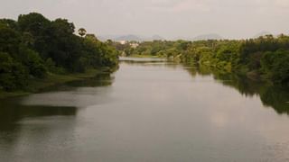 Mahananda: মহানন্দা থেকে বোল্ডার সরানোর ভাবনা রাজ্যের, ঘুরে দেখলেন বনমন্ত্রী