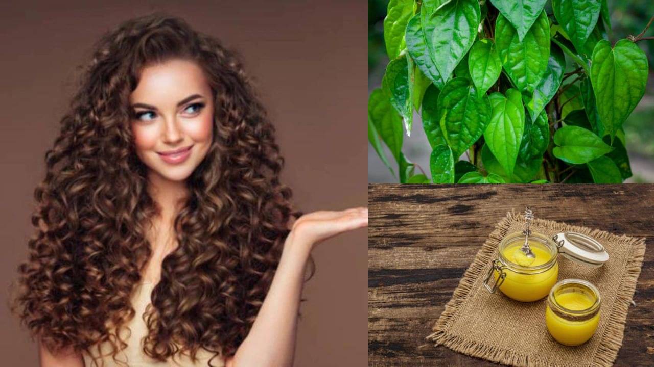 Hair Care Tips: ঘন লম্বা চুলের বাসনা বহুদিনের? পান ও ঘিয়ের হেয়ার মাস্কেই পূরণ হবে সব স্বপ্ন