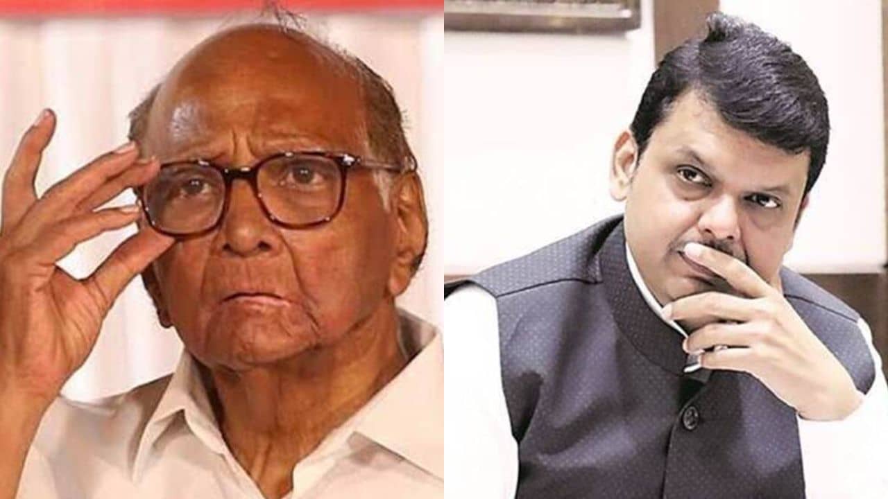 Pawar-Fadanvis Meet: মহারাষ্ট্রের রাজনীতিতে নতুন সমীকরণ? নৈশভোজে মিলিত হতে পারেন পওয়ার-ফড়ণবীস