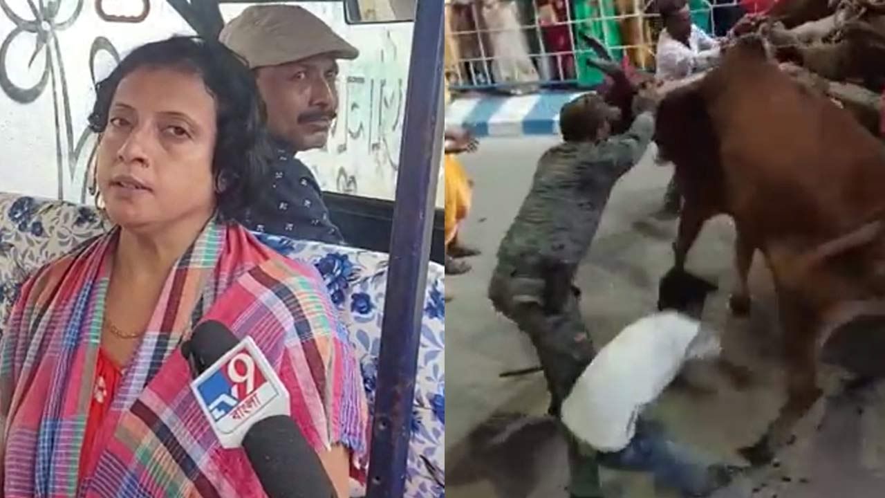 Durga Puja Carnival: 'Why was the cat brought to the carnival?', victim's daughter speaks out against Raiganj club and administrationNews WAALI