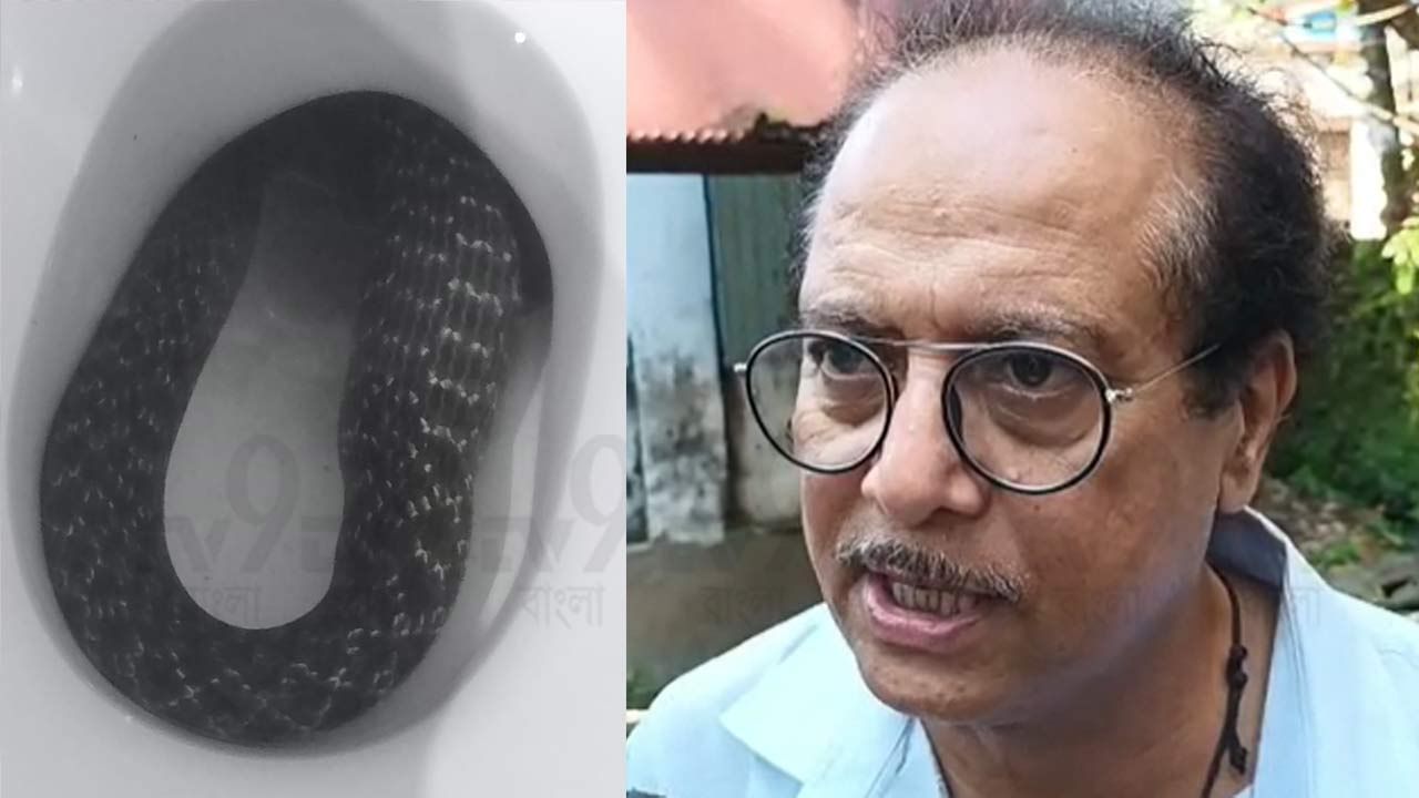 Snake Recover: কমোডের প্যানে হেয়ার ব্যান্ডের মতো কী একটা, এরপর বাড়িময় হুলস্থূল কাণ্ড...