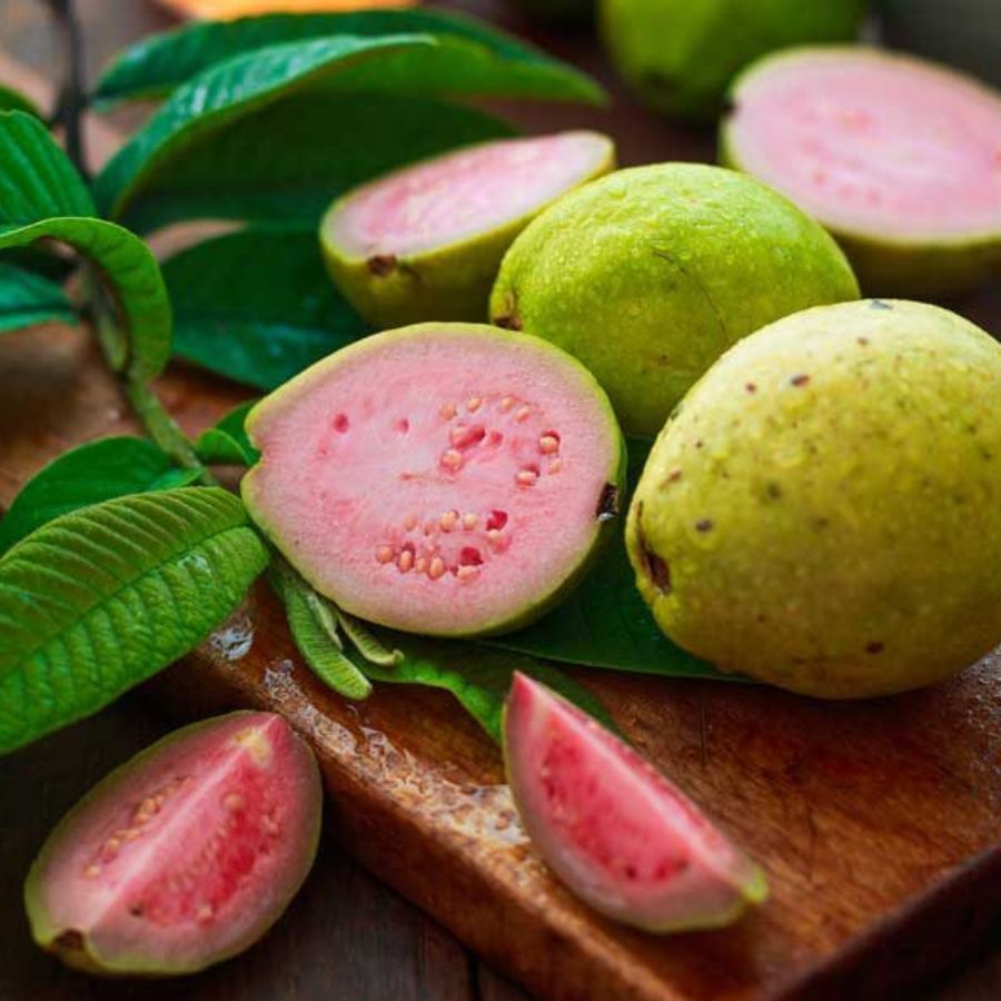 বর্তমানে সুস্থ থাকাটাই একটি চ্যালেঞ্জের সমান হয়ে গিয়েছে। বিশেষ করে শীতকালে স্বাস্থ্যের প্রতি বিশেষ যত্ন নিতে হয়। তা সে শিশুই হোক কিংবা প্রবীণ। বিভিন্ন মারাত্মক ভাইরাসের দৌরাত্ম্যের সময়কালে সকলের স্বাস্থ্যের প্রতি বিশেষ যত্ন নেওয়া প্রয়োজন।