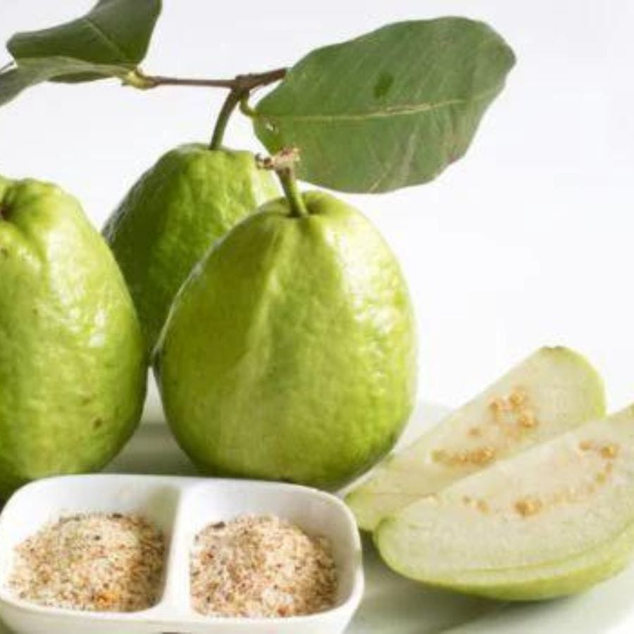 তাই শীতকালেও পর্যাপ্ত পরিমাণে জল পান করার পরামর্শ দেওয়া হয়। পাশাপাশি, শীতকালে এমন অনেক ফল পাওয়া যায় যেগুলোতে প্রচুর পরিমাণে জল থাকে, যা শরীরের জলের ঘাটতি মেটাতে সাহায্য করে। এর মধ্যে একটি হল পেয়ারা। এই মরসুমি ফল স্বাস্থ্যের জন্য আশীর্বাদের চেয়ে কম কিছু নয়। 