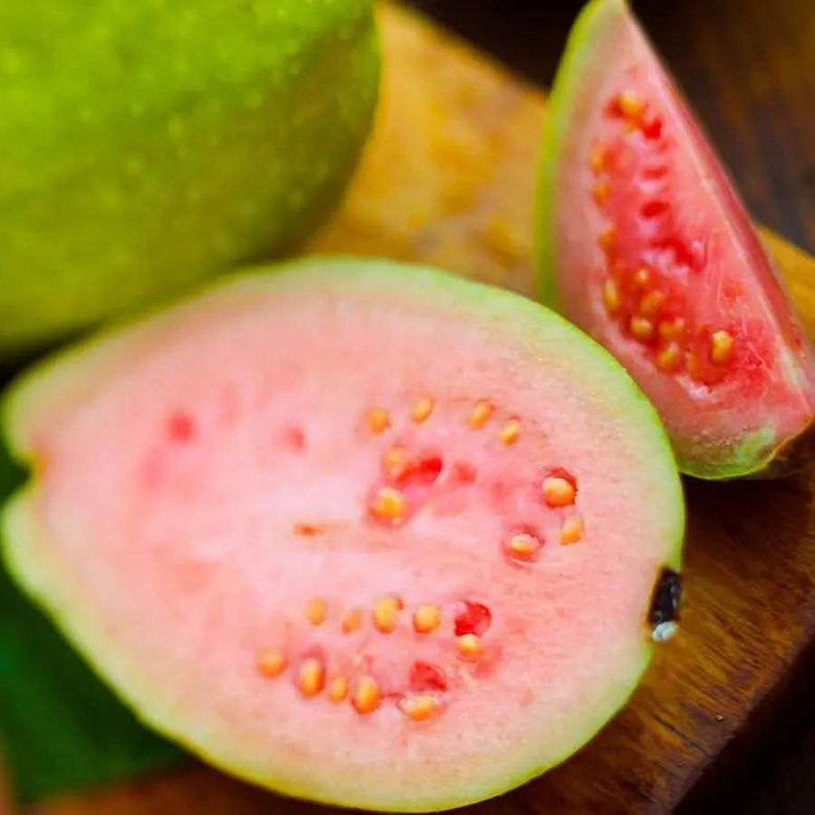 ইমিউন সিস্টেম শক্তিশালী রাখে: শীতের মরসুমে পেয়ারা খেলে রোগ প্রতিরোধ ক্ষমতাও শক্তিশালী থাকে, তাই ভিটামিন সি সমৃদ্ধ খাবার খাওয়ার পরামর্শ দেন চিকিৎসকরা। কিন্তু আপনি যদি রোগ প্রতিরোধ ক্ষমতা শক্তিশালী রাখতে চান, তাহলে অবশ্যই পেয়ারা খান, পেয়ারা খাওয়া স্বাস্থ্যের উপর অনুকূল প্রভাব ফেলে।