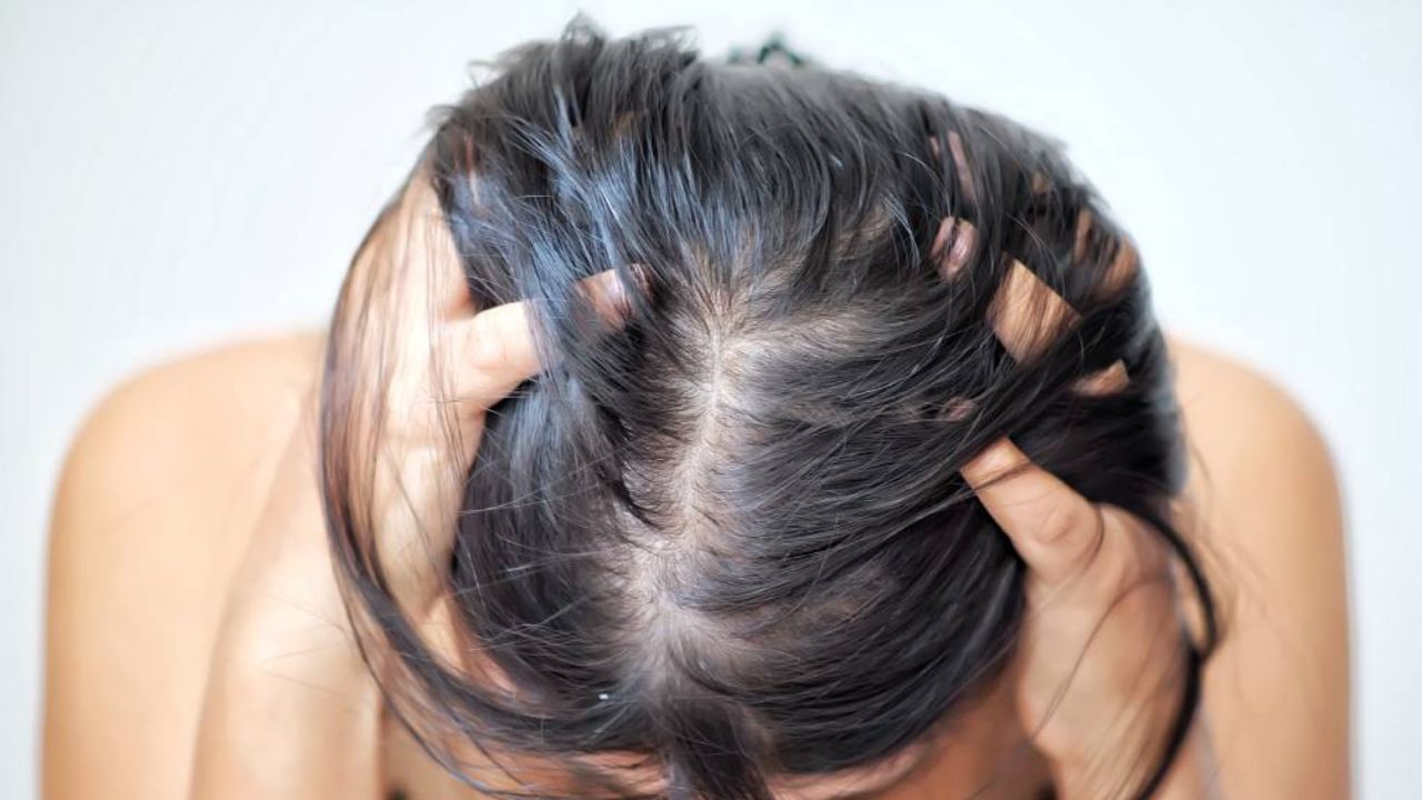 Hair Care Tips: শীত পড়তে না পড়তেই চুল ঝরে পাতলা হয়ে যাচ্ছে? দ্রুত সমাধান পেতে রইল ৫ ভেষজ উপায়