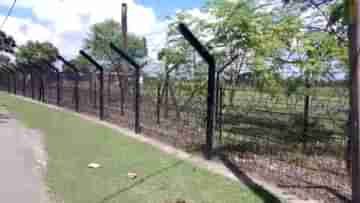 BSF: ফের ভারতে অনুপ্রবেশের চেষ্টা পাক নাগরিকের, বিএসএফ-এর হাতে গ্রেফতার