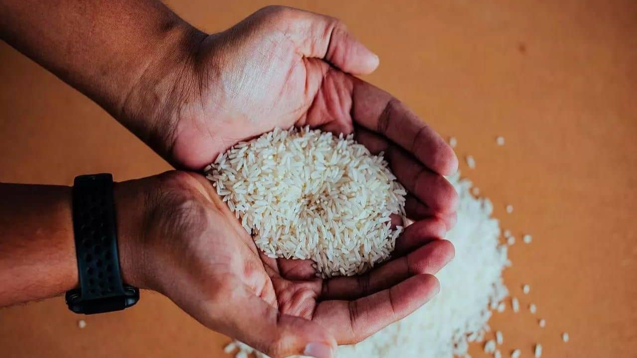 Diabetics: সেদ্ধ নয়, প্রতিদিন ৩০ গ্রাম করে কাঁচা চাল খেলে নিয়ন্ত্রণে থাকবে ডায়াবেটিস! জানাচ্ছেন বিশেষজ্ঞরা