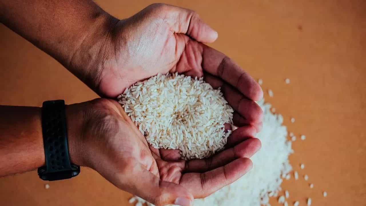 Diabetics: সেদ্ধ নয়, প্রতিদিন ৩০ গ্রাম করে কাঁচা চাল খেলে নিয়ন্ত্রণে থাকবে ডায়াবেটিস! জানাচ্ছেন বিশেষজ্ঞরা