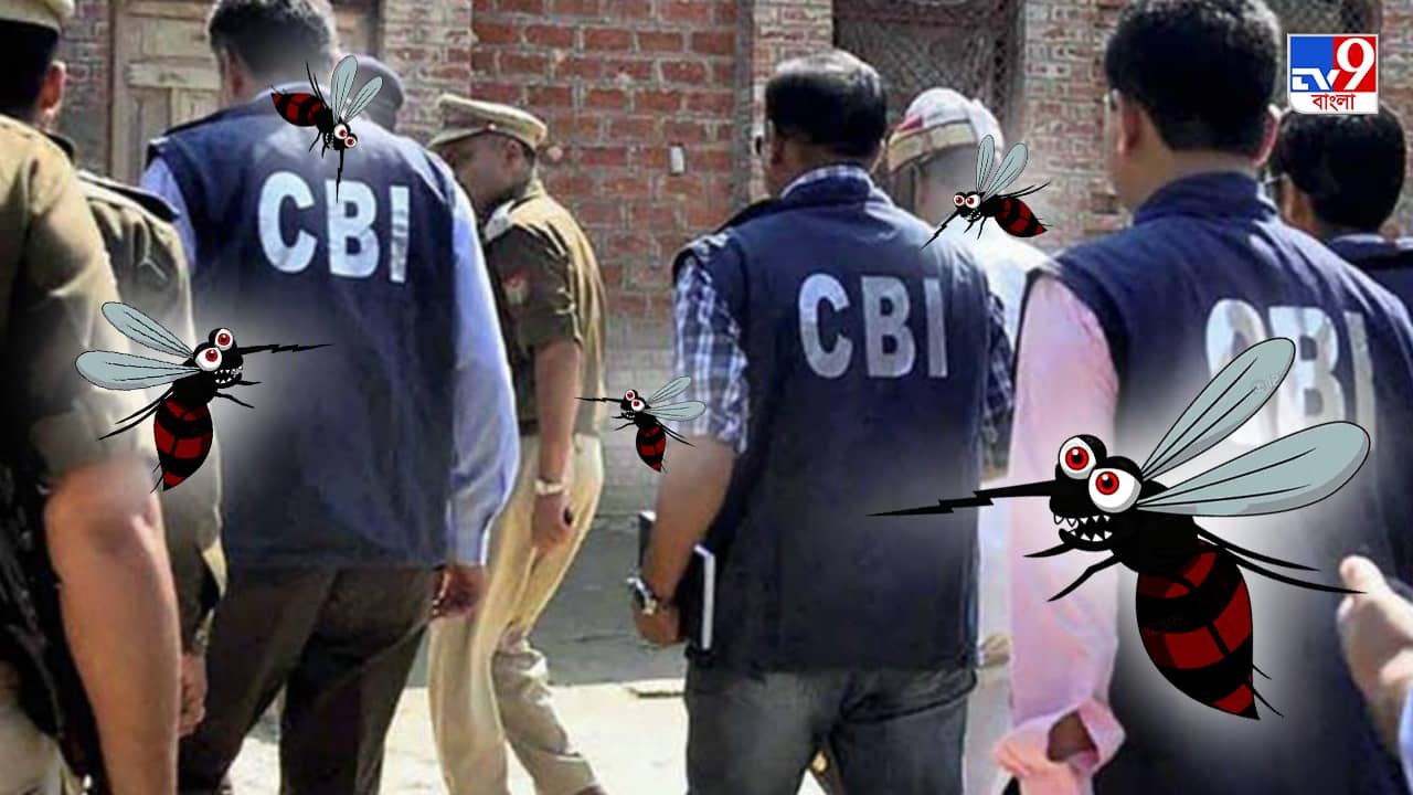 CGO Complex: সিবিআই কুপোকাত মশার কামড়ে, কামান দাগতে পুরনিগমের দ্বারস্থ