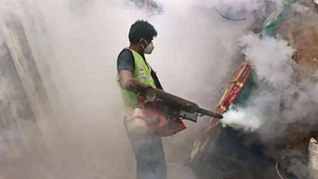 Dengue in West Bengal: কীভাবে হবে ডেঙ্গি-দমন? কলকাতা সহ চার জেলার সঙ্গে বৈঠকে মুখ্যসচিব