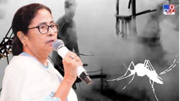 Mamata Banerjee: 'ডেঙ্গিতে মৃত্যু মাত্র ১১, সুপ্রিম কোর্টের নির্দেশেই তথ্য প্রকাশ নয়', বিধানসভায় জানালেন মমতা