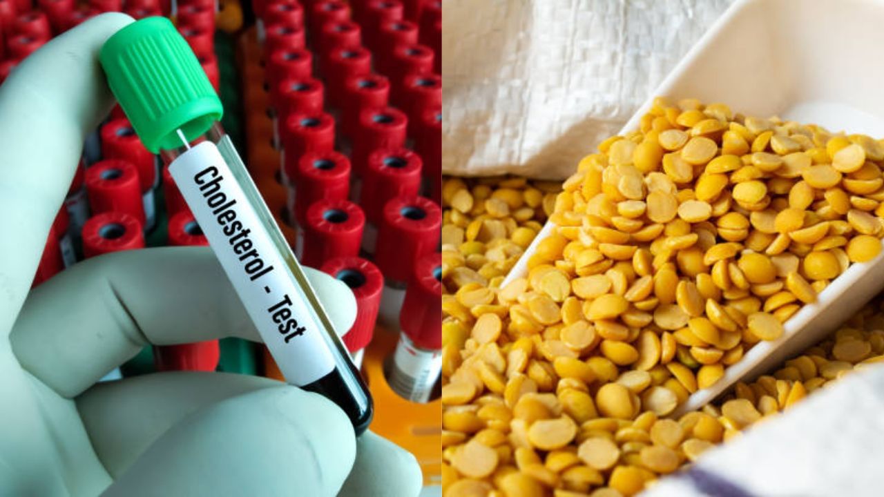 HDL Cholesterol ভাল কোলেস্টেরলের মাত্রা বাড়াবে প্রোটিন, রোজের পাতে