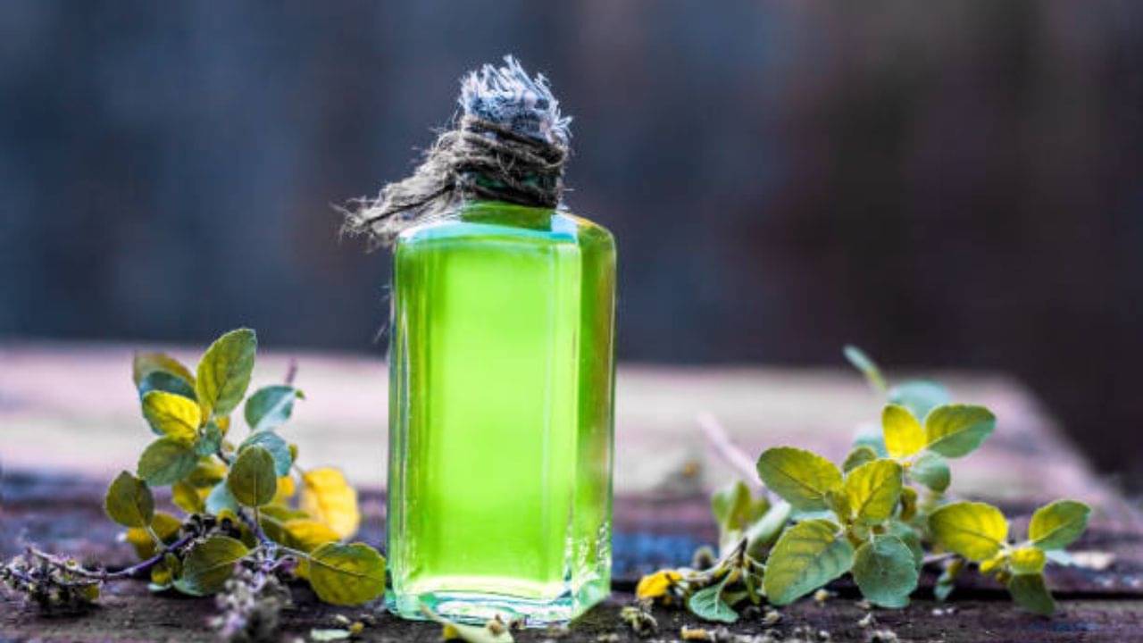 World AIDS Day 2022: প্রাকৃতিক উপায়ে এইচআইভি সংক্রমণ ঠেকাবেন কীভাবে?