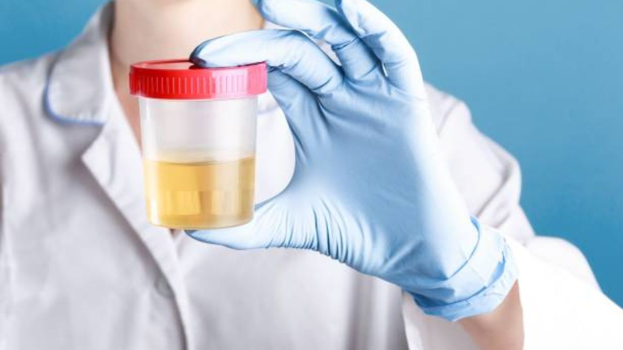 urine-infection