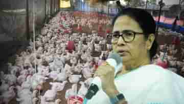 Mamata Banerjee: মুরগির মাংসের দাম এত হলে মানুষ খাবে কী করে?, দাম কমাতে বললেন মমতা