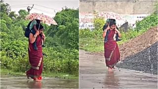 Watch Video: কচি বাচ্চাকে মেরে খেয়ে ফেলল প্রাপ্তবয়স্ক কুমির, হৃদয়বিদারক ভিডিয়ো