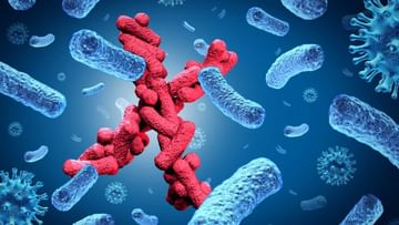 WHO: World Health Organization on the ground to fight 'Disease X', calls for more than 300 scientists
