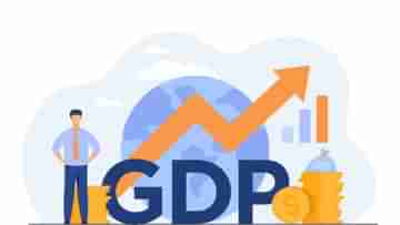 GDP growth: অর্ধেক হয়ে গেল জিডিপি বৃদ্ধির হার, আশার আলো শুধু কৃষিক্ষেত্রে
