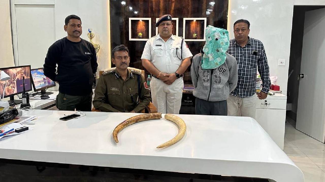 New Town: নিউটাউন থেকে উদ্ধার বহুমূল্য হাতির দাঁত, কোথা থেকে এল? বাড়ছে রহস্য