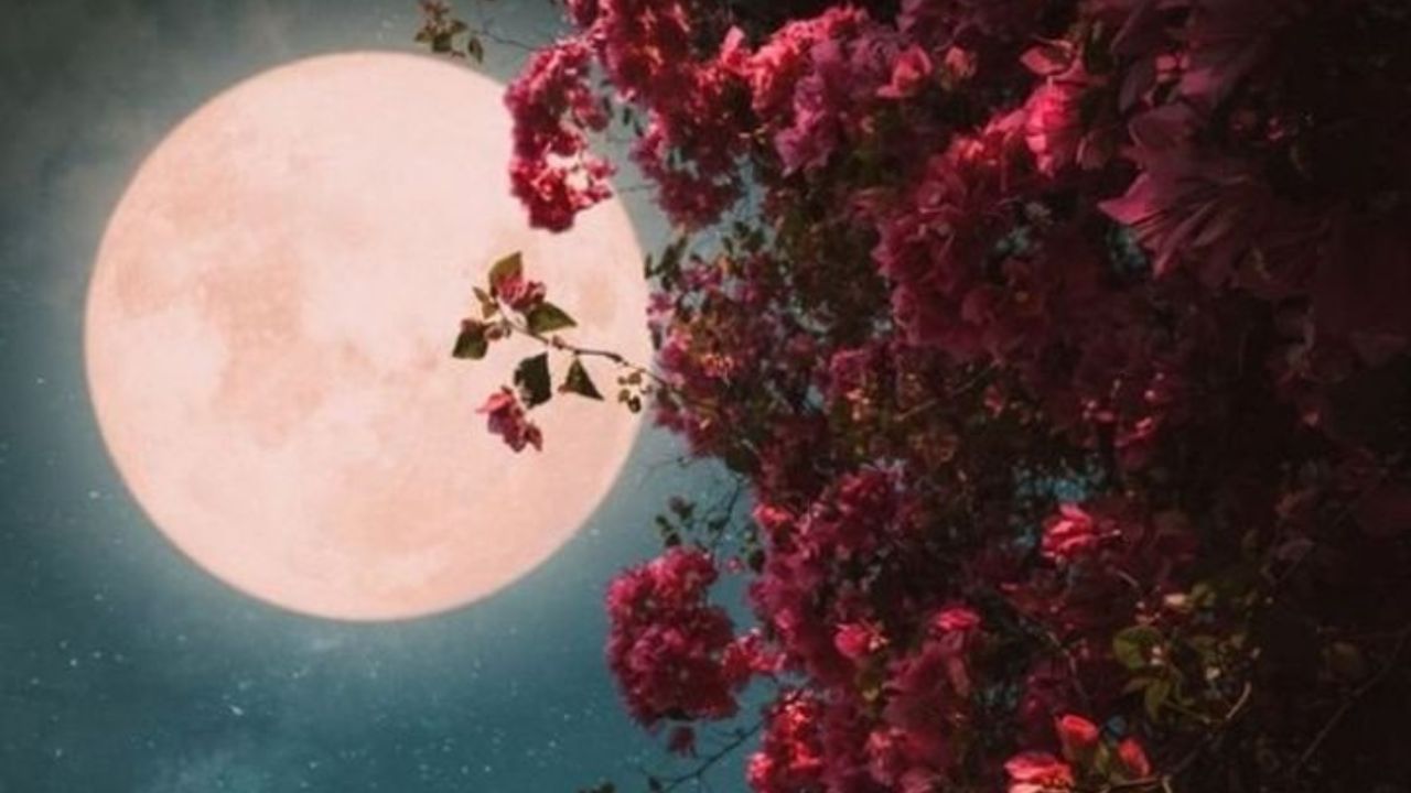 Paush Purnima 2023: নতুন বছরের প্রথম পূর্ণিমা কখন পড়বে, জানুন তারিখ, শুভ সময় এবং পুজোর পদ্ধতি Paush Purnima 2023: নতুন বছরের প্রথম পূর্ণিমা কখন পড়বে, জানুন তারিখ, শুভ সময় এবং পুজোর পদ্ধতি