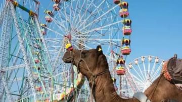 Pushkar Fair 2022: শুরু হয়েছে রাজস্থানের বিখ্যাত পুষ্কর মেলা! আকর্ষণের মূলে কী কী রয়েছে?