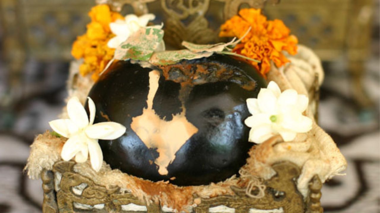 Shaligram Puja: শালগ্রাম শিলা এইভাবে পুজো করলে তুষ্ট হন লক্ষ্মী ও বিষ্ণু , ঘরে থাকলে কেটে যাবে সব বাধা-বিপত্তি!