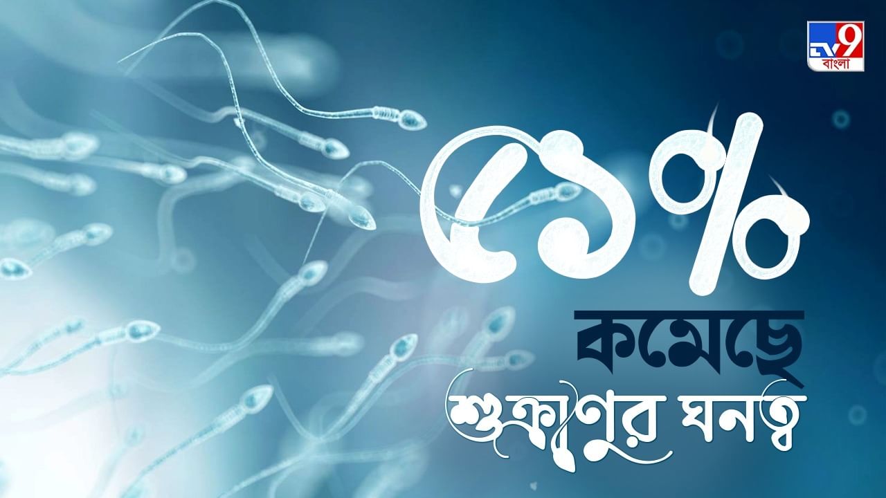 Sperm Count: শুক্রাণুর ঘনত্ব ও সংখ্যা কমছে হু-হু করে, ভবিষ্যতে আশঙ্কা কতটা?