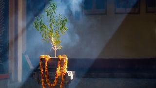 Shaligram Puja: শালগ্রাম শিলা এইভাবে পুজো করলে তুষ্ট হন লক্ষ্মী ও বিষ্ণু , ঘরে থাকলে কেটে যাবে সব বাধা-বিপত্তি!