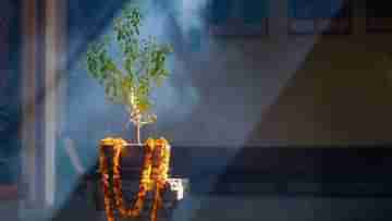 Tulsi Vivah 2022: কবে হবে তুলসী বিবাহ?  এদিন শুভ সময়, পুজো পদ্ধতি ও গুরুত্ব জানা আছে?