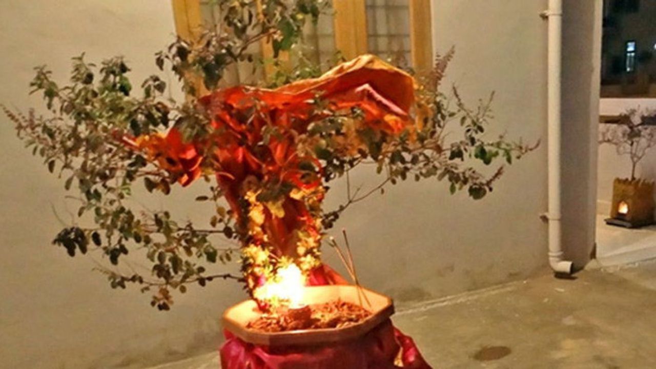 Tulsi vivah: তুলসি বিবাহের দিন এই একটি কাজ করলেই প্রসন্ন হন দেবী লক্ষ্মী! ঘরে আসবে সুখ-শান্তি-সমৃদ্ধি