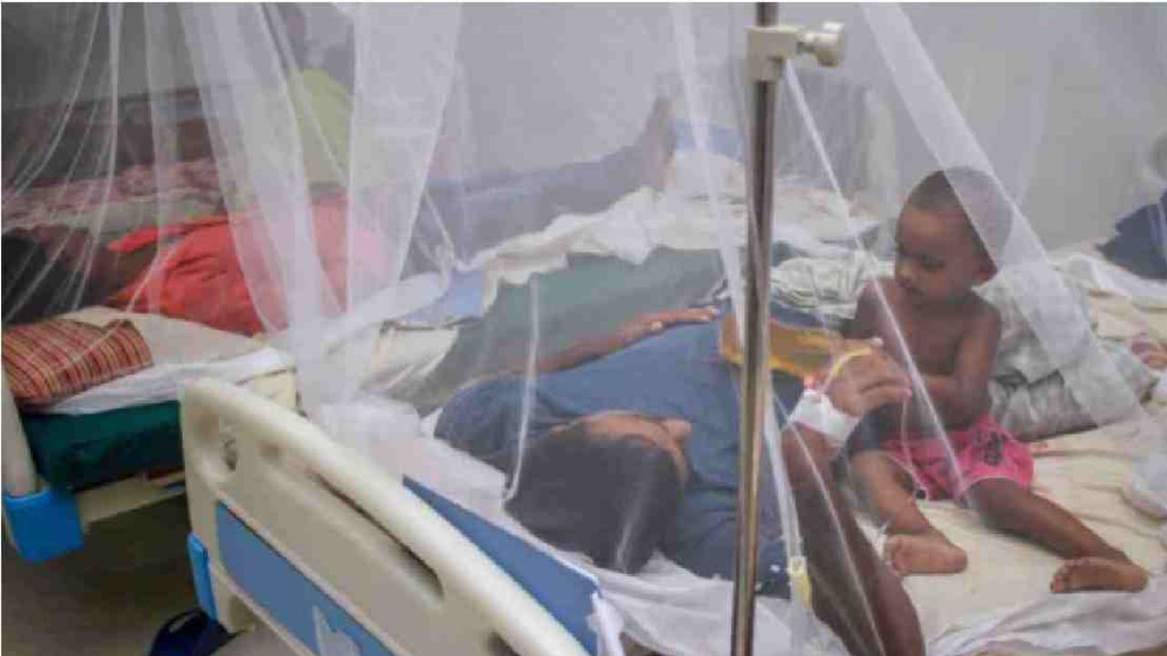 Dengue: ক্রমেই ভয়াবহ হচ্ছে বাংলাদেশের ডেঙ্গি পরিস্থিতি, শিশুমৃত্যু ভাবাচ্ছে নতুন করে