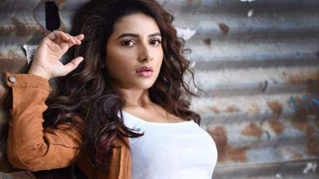 Subhashree Ganguly: বলিউড থেকে ডাক পেয়েছিলেন শুভশ্রী, কী হল সেই ছবির পরিণতি