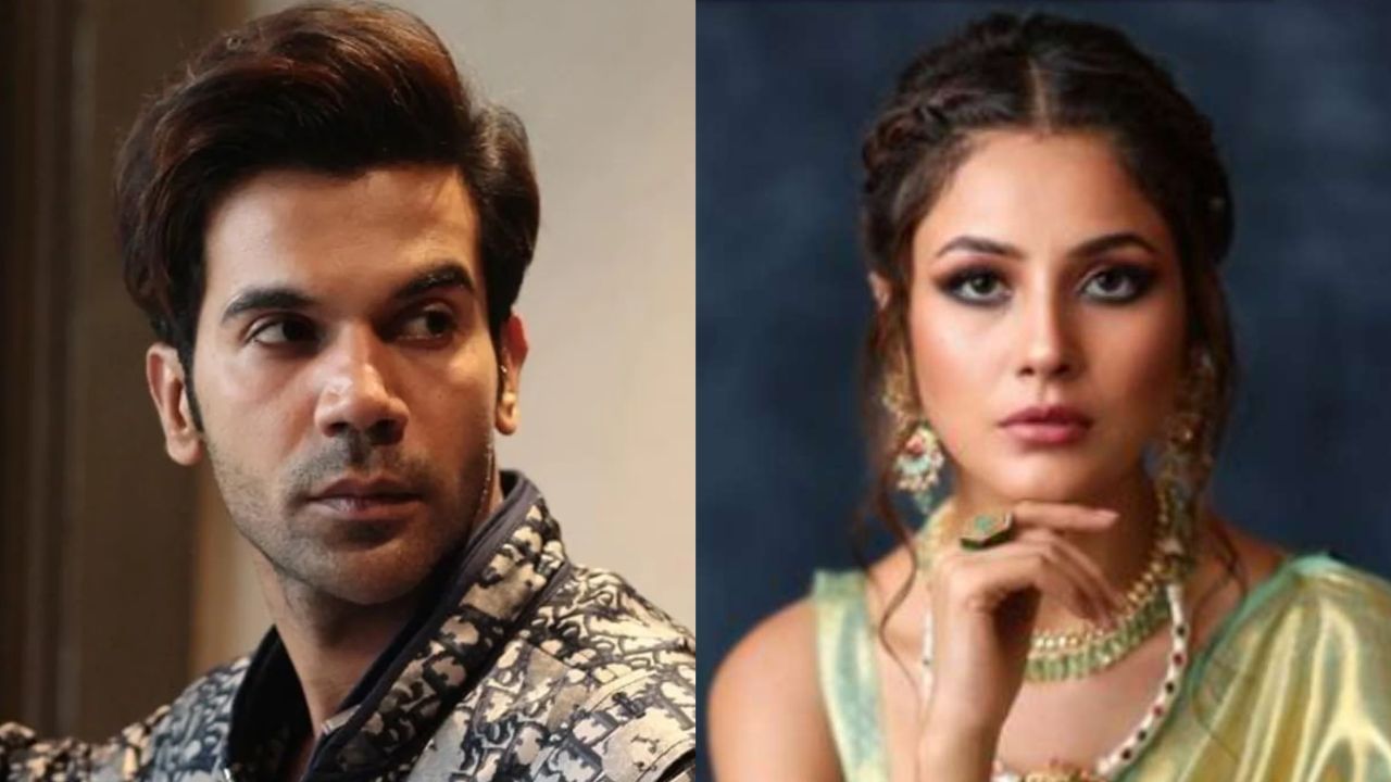 Rajkummar Rao: মেয়ে হলে শেহনাজের মতোই হোক: অকপট রাজকুমার রাও