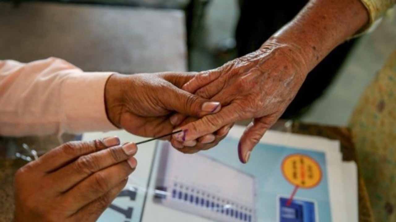 Gujarat Election 2022: গুজরাট বিধানসভার নজরকাড়া মুখ একঝলকে...