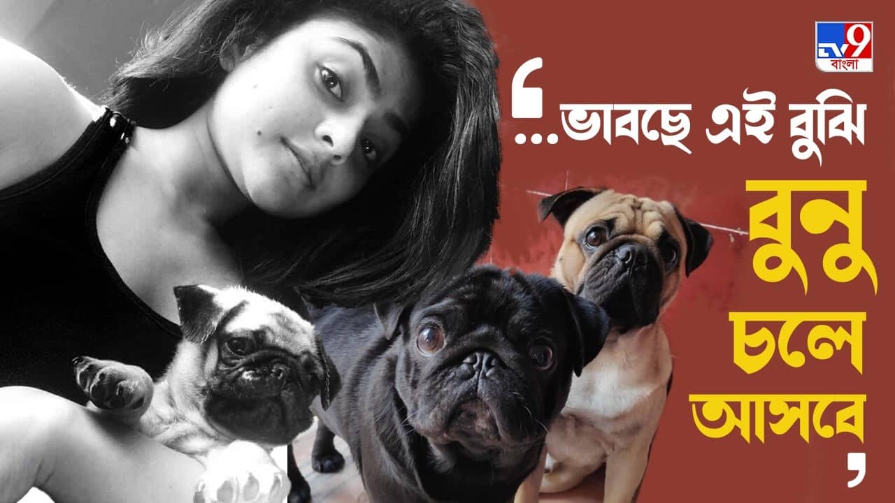 Aindrila Sharma: ঐন্দ্রিলার মৃতদেহ রাখা ছিল যেখানে, সেই জায়গাটাই বারবার শুঁকছে বোজ়ো-তোজো