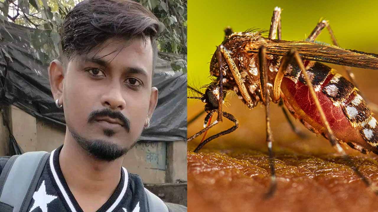 Dengue Death: ২৪ ঘণ্টায় তিনজনের মৃত্যু, আরও আতঙ্ক বাড়াচ্ছে ডেঙ্গি