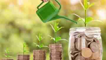 Dividend Investment: Fixed Deposit নয়, অতিরিক্ত লাভ পেতে এখানে বিনিয়োগ করুন