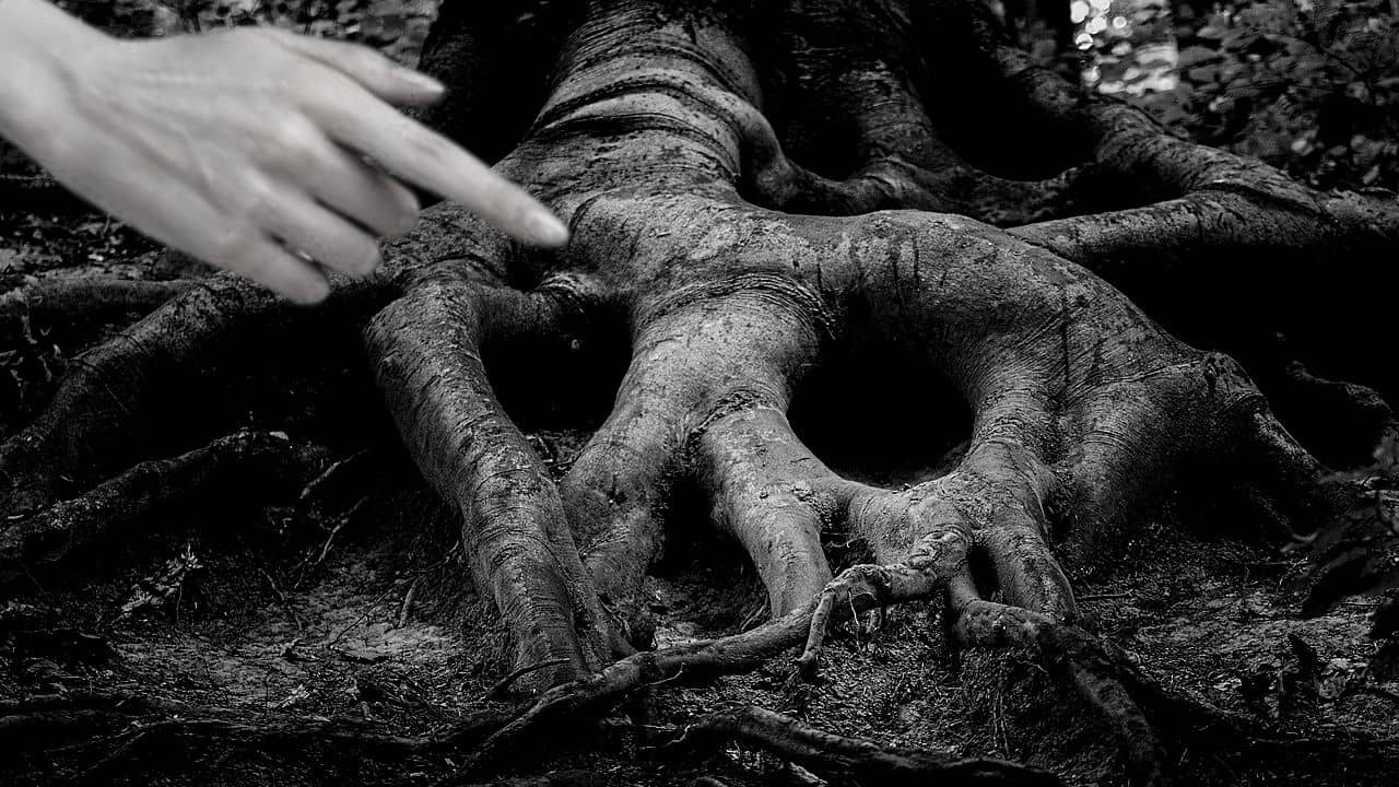 Crime: পুলিশকে সাদ্দাম বললেন, ‘চলুন, দেখাচ্ছি কোন ঝোপে আমার স্ত্রী রয়েছে’