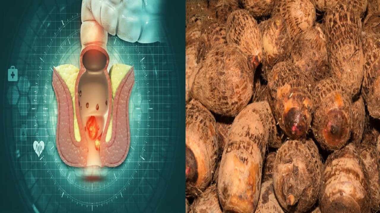 Elephant Foot Yam: ঠিক ভাবে রান্না করে খেলে গলা চুলকোনোর ভয় নেই