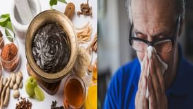 Chyawanprash: সর্দি-কাশির দাওয়াই হিসেবে ঘরে ঘরে চলে শতাব্দী প্রাচীন চবনপ্রাশ, এইভাবে খেলেই মিলবে একশো শতাংশ উপকার! Chyawanprash: সর্দি-কাশির দাওয়াই হিসেবে ঘরে ঘরে চলে শতাব্দী প্রাচীন চবনপ্রাশ, এইভাবে খেলেই মিলবে একশো শতাংশ উপকার!