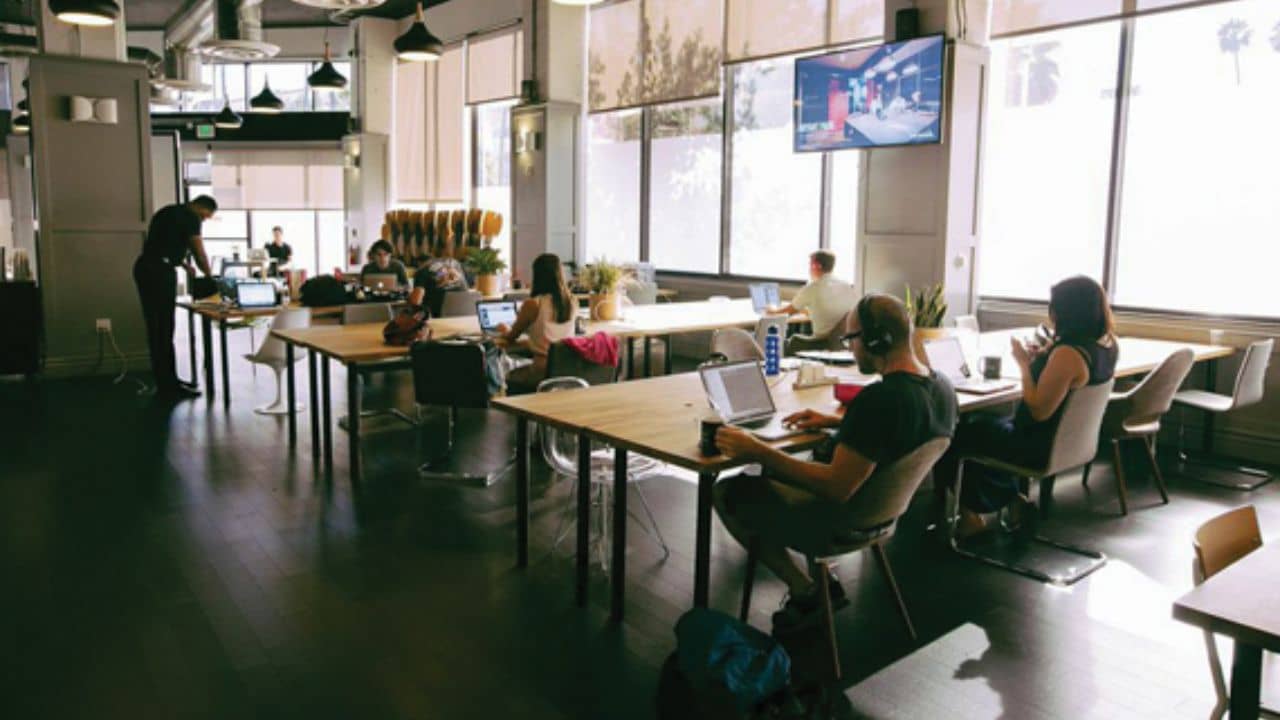 Job Cut: শুধু টুইটার নয়, চলতি বছর কর্মী ছাঁটাই করেছে এই সংস্থাগুলি, তালিকায় রয়েছে কোন কোন নাম?