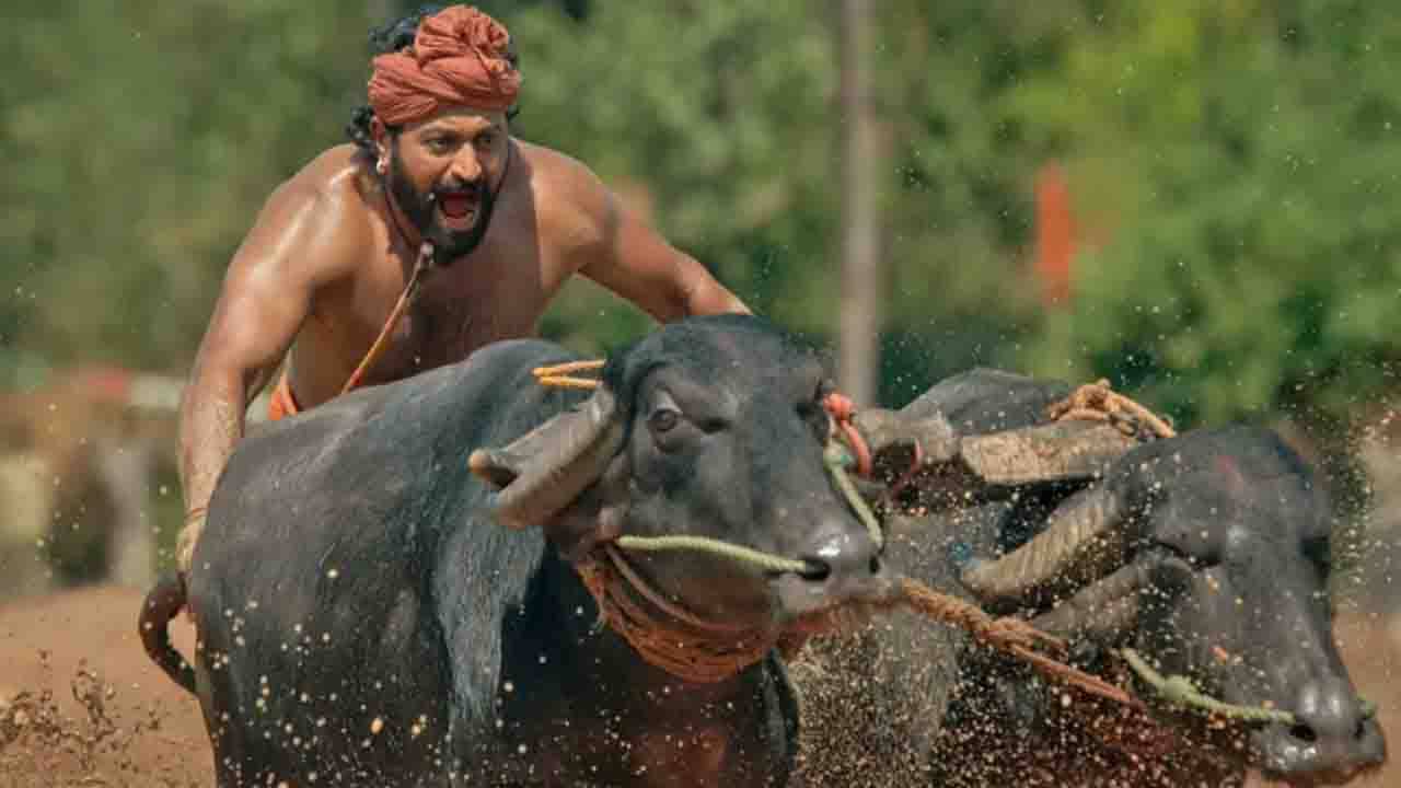 Kantara Box Office: কর্ণাটকেই ১০০ কোটি টিকিট বিক্রি হয়েছে কান্তারা ছবির, এই ছবির ব্যবসা আকাশ ছুঁয়েছে...