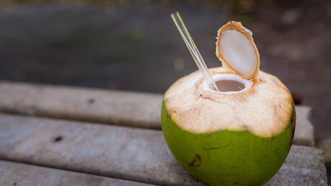 Cancer Risk: ডাবের জল কি ক্যানসার সারাতে পারে? গুজবকে কেন্দ্র করে যা বলছেন বিশেষজ্ঞরা